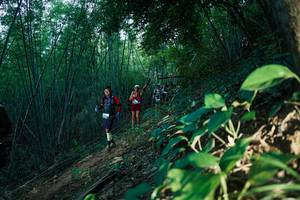 BIB: 
                            <button type="button" onclick="openModal(28124436)" class="btn btn-primary btn-sm float-right btn-popup" data-toggle="modal" data-target=".modal-high-quality">
                        <i class="fas fa-shopping-cart"></i> Add to Cart
                    </button>
                                            <button type="button" onclick="isThisMe(28124436, true)" class="btn btn-success btn-sm float-right btn-popup btn-isme hidden" data-toggle="tooltip" data-placement="bottom" title="นี่คือรูปของคุณใช่ไหม คลิกที่นี่เพื่อเอาเข้าอัลบั้ม">
                        <i class="fas fa-plus"></i> Add to album
                    </button>
                    <button type="button" onclick="isThisMe(28124436, false)" class="btn btn-warning btn-sm float-right btn-popup btn-isnotme hidden">
                        <i class="fas fa-ban"></i> Remove from album
                    </button>